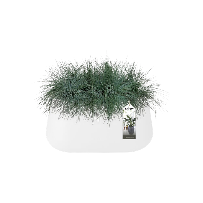 pure cone long wheels 75 wit